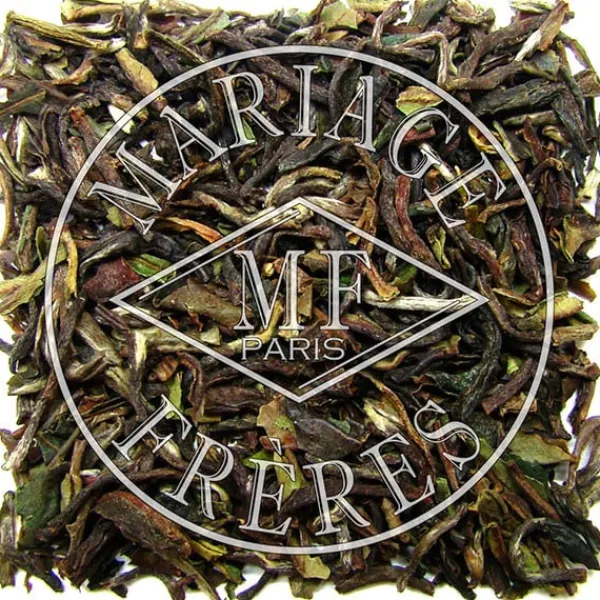 MARIAGE FRÈRES MASTER™- Darjeeling | Himalaya - Darjeeling