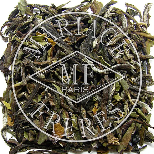 MARIAGE FRÈRES QUEEN VICTORIA™- Darjeeling | Himalaya - Darjeeling