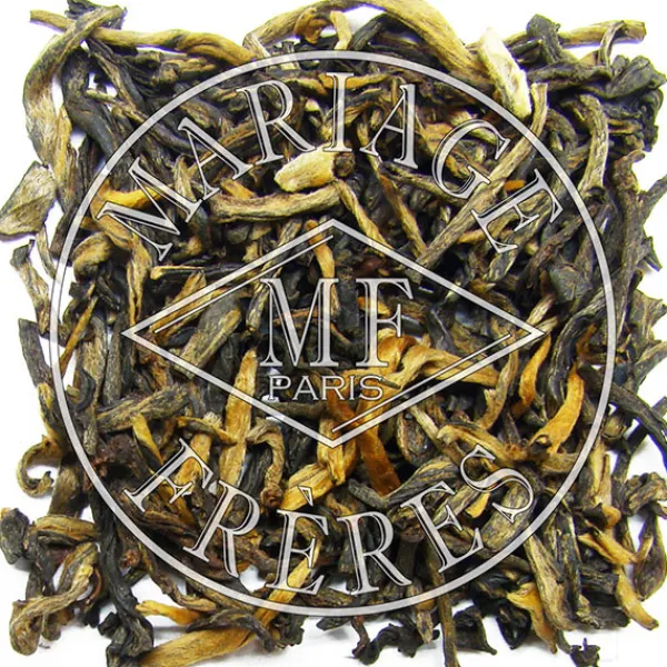 MARIAGE FRÈRES ROI DU YUNNAN FTGFOP1- Black Tea | Natural