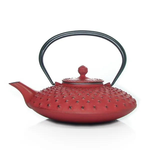 MARIAGE FRÈRES Théière « KANBIN »- Cast-Iron Teapot | Teapots And Teacups